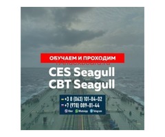Поможем сдать и подготовим к сдаче Seagull CES, Seagull CBT и других тестов для моряков.